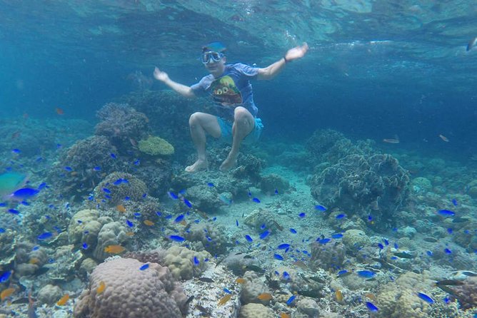 Cebu: Moalboal Sardines, Turtle Snorkeling & Kawasan Canyoneering - Why the Moalboal and Kawasan combination works