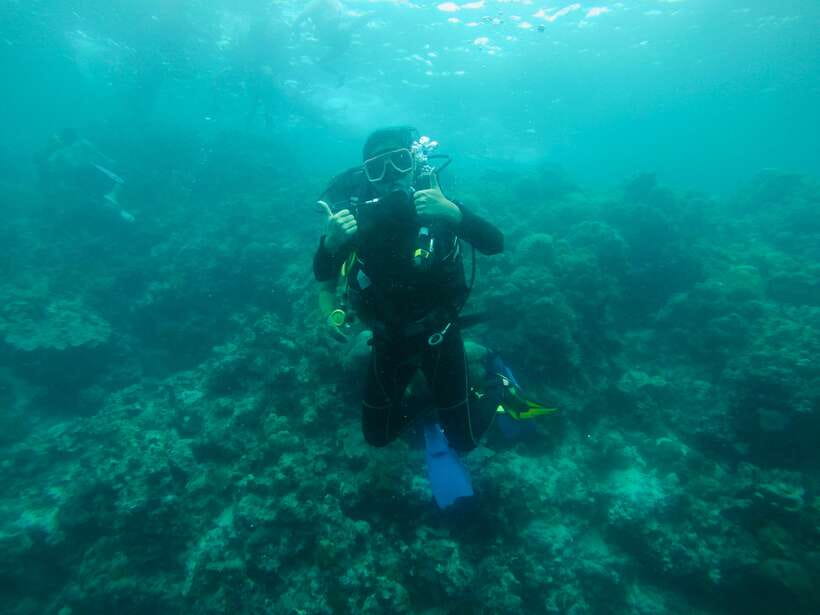 Cebu: Moalboal Scuba Diving with Sardines and Turtle Snorkel - Meeting the sardines at Panagsama Beach
