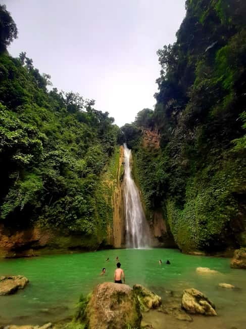 Cebu: Moalboal Snorkeling, Mantayupan Falls & ATV Adventure - Why Moalboal’s sardine run is the star