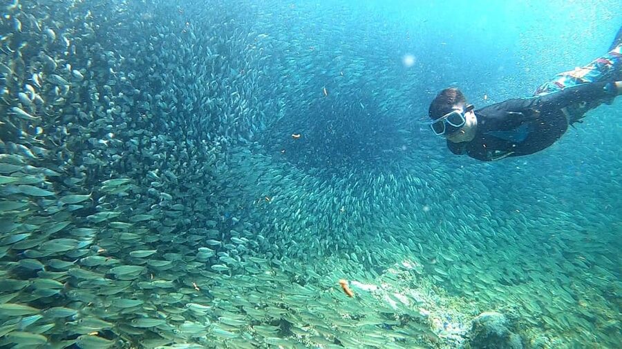 Cebu: Moalboal Snorkeling, Mantayupan Falls & ATV Adventure - One hour on an ATV in Barili