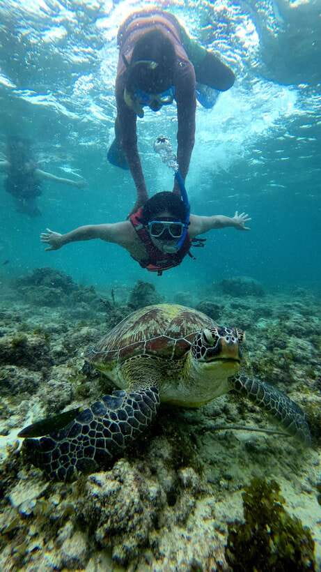 Cebu: Moalboal Snorkeling, Mantayupan Falls & ATV Adventure - Carcar lunch and the value of local food