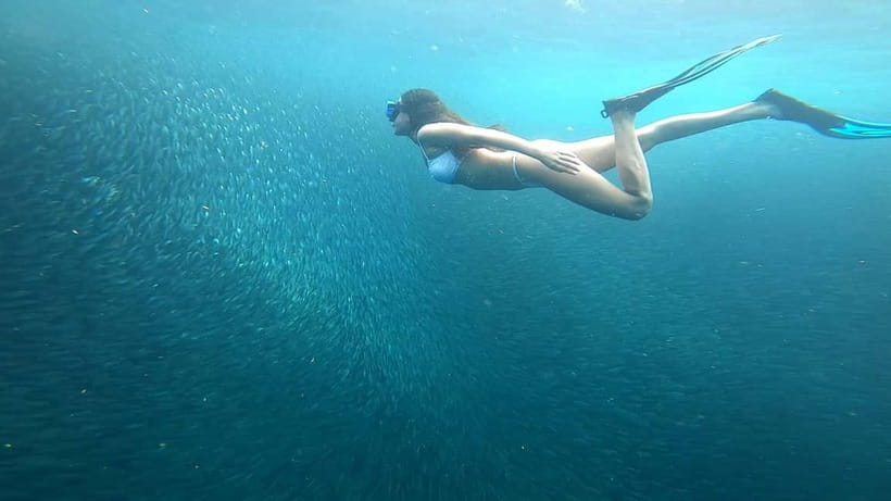 Cebu: Moalboal Snorkeling, Mantayupan Falls & ATV Adventure - Who should book this Cebu day tour?