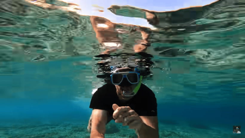 Cebu: Oslob Whale Shark and Moalboal Snorkeling Tour - Moalboal and the famous sardine run