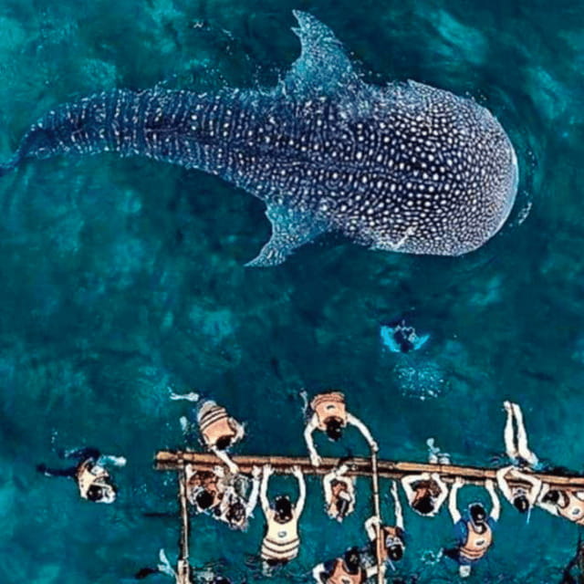 Cebu: Oslob Whale Shark, Sumilon, Ruins, Simala Church - Cuartel Ruins reveal a different side of Oslob