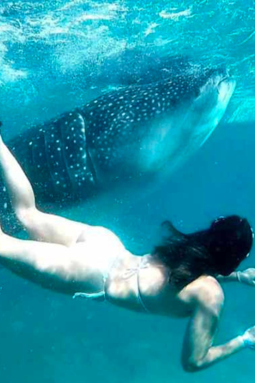 Cebu: Oslob Whale Shark, Sumilon, Ruins, Simala Church - Simala Shrine is the quietest major stop