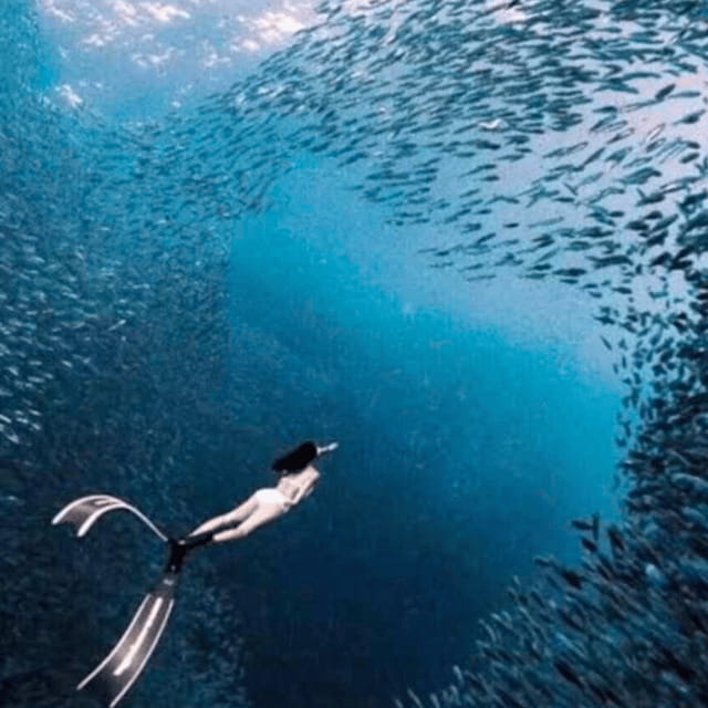 Cebu: Oslob Whale Shark, Sumilon, Ruins, Simala Church - Communication and transport deserve attention