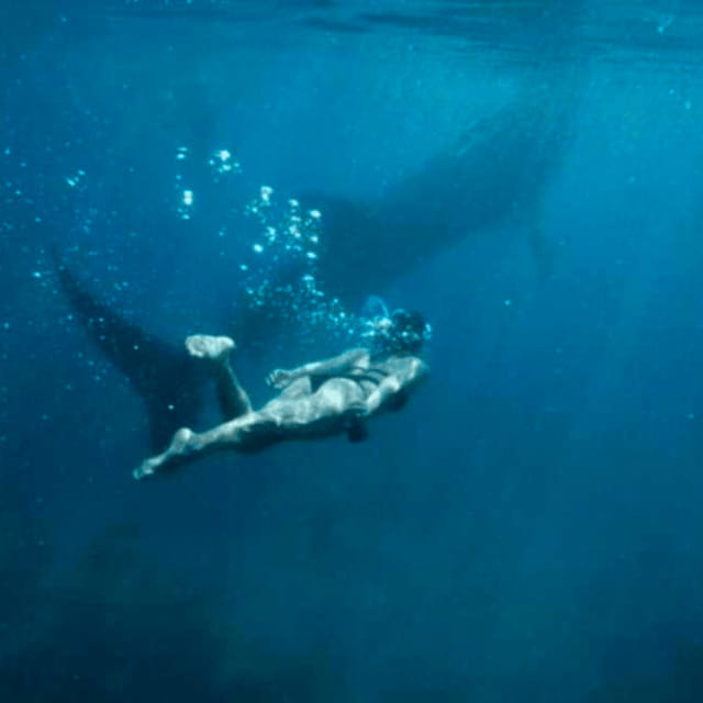 Cebu: Oslob Whale Shark, Sumilon, Ruins, Simala Church - Sumilon Island Sandbar brings a needed pause