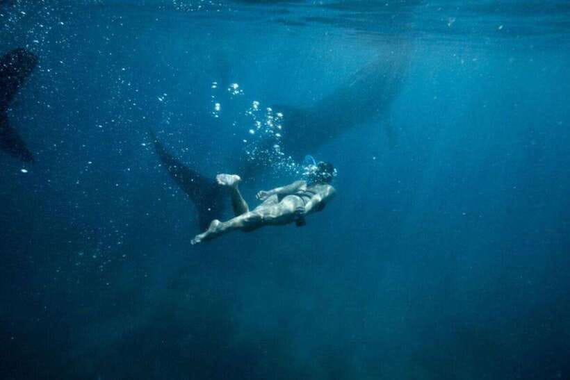 Cebu: Oslob Whale Shark Swimming and Tumalog Falls Tour - Breakfast in Oslob before the main event