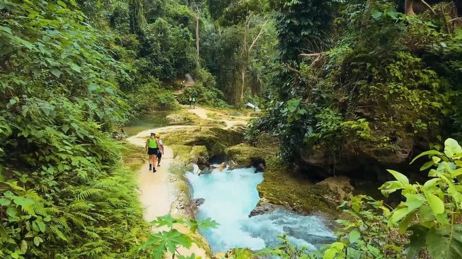 Cebu Oslob Whale Shark Swimming & Kawasan Falls Canyoneering - Who should book this day?