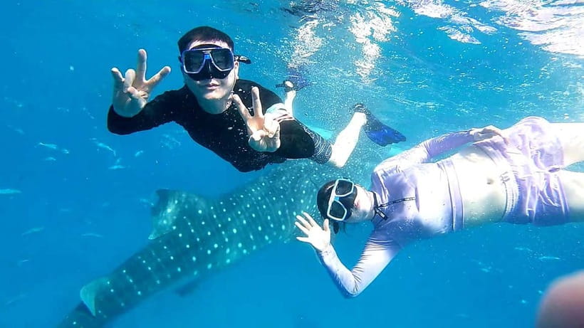 Cebu Oslob: Whale Shark Watching Experience - The pre-dawn start from Cebu