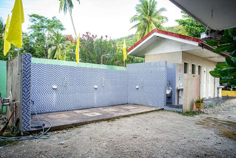 Cebu: Oslob Whale Sharks, Moalboal Sardine Run & Turtles - Should you book it?