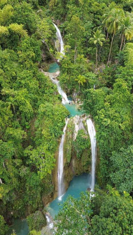 Cebu Oslob Whaleshark, Moalboal Sardines Run&Inambakan Falls - Moalboal’s sardine run is the strongest wildlife moment