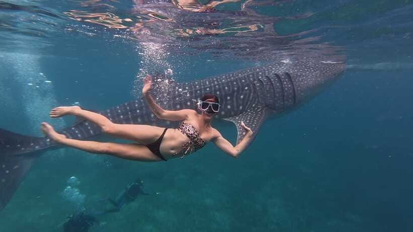 Cebu Oslob Whaleshark, Moalboal Sardines Run&Inambakan Falls - Who should book this Cebu day trip