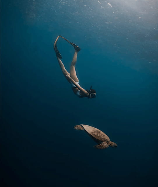 Cebu Oslob Whaleshark, Moalboal Sardines Run&Inambakan Falls - Final call: a strong route with one serious reservation