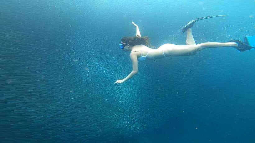 Cebu: Oslob Whaleshark & Sardines Run Snorkeling Day Tour - Useful preparation before the early pickup