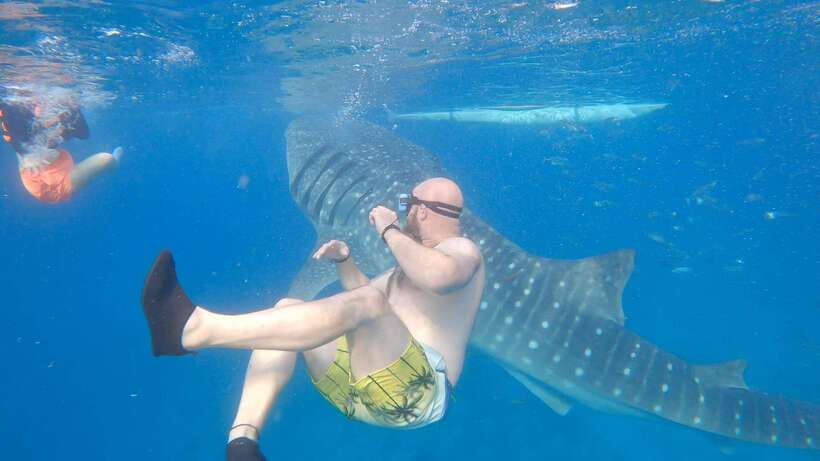 Cebu: Oslob Whaleshark & Sardines Run Snorkeling Day Tour - Oslob whale sharks and the first water stop