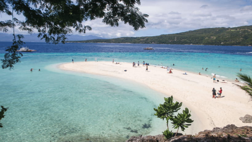 Cebu Oslob Whaleshark, Tumalog Falls&Sumilon Island(Private) - The Optional Carcar Lechon Stop