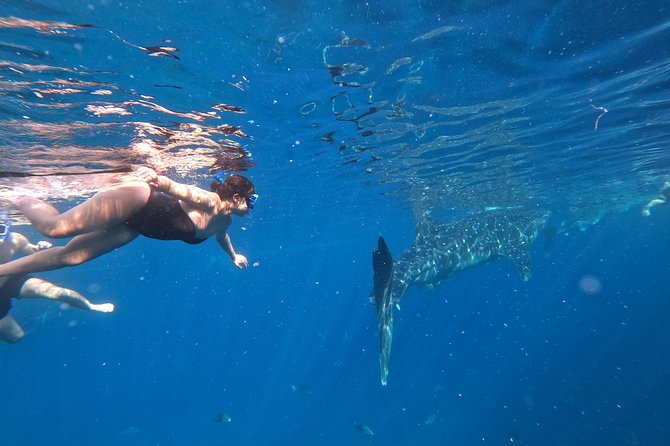 Cebu Oslob Whalesharks, Sumilon & Kawasan Waterfalls Tour - Kawasan Falls adds the active finish