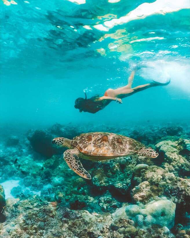 Cebu: Pescador Island, Sardines run and Kawasan Canyoneering - The pickup map affects the value
