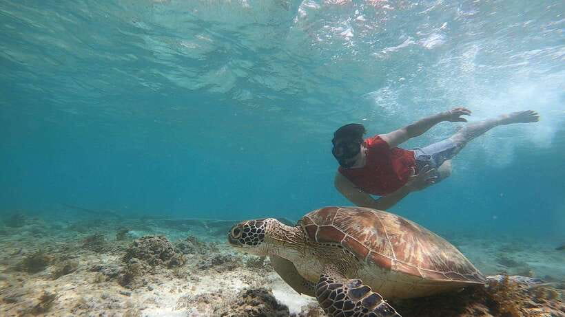 Cebu: Pescador Island, Sardines run and Kawasan Canyoneering - Who will enjoy this Cebu combination tour?