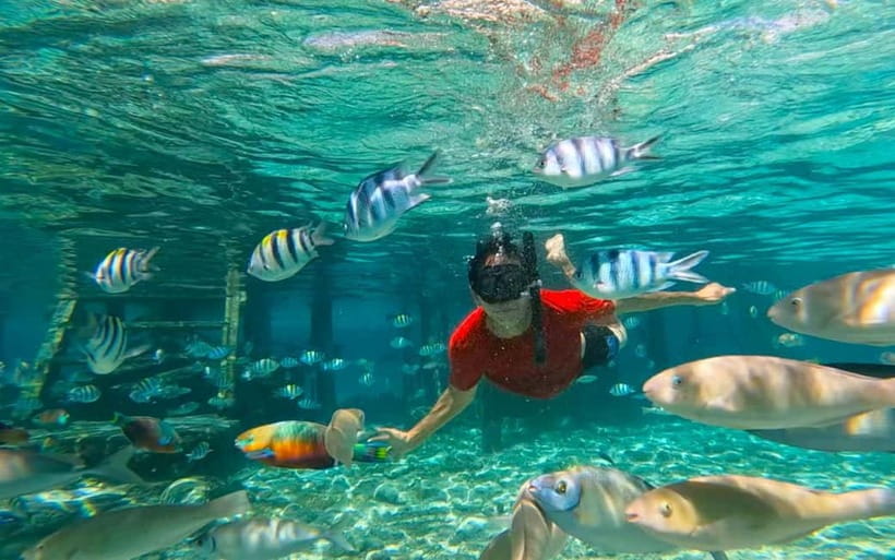 Cebu: Private Mactan Island Hopping Tour with Lunch - What private really changes on the boat