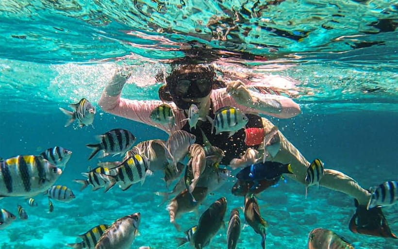 Cebu: Private Mactan Island Hopping Tour with Lunch - The day begins with an easy hotel pickup