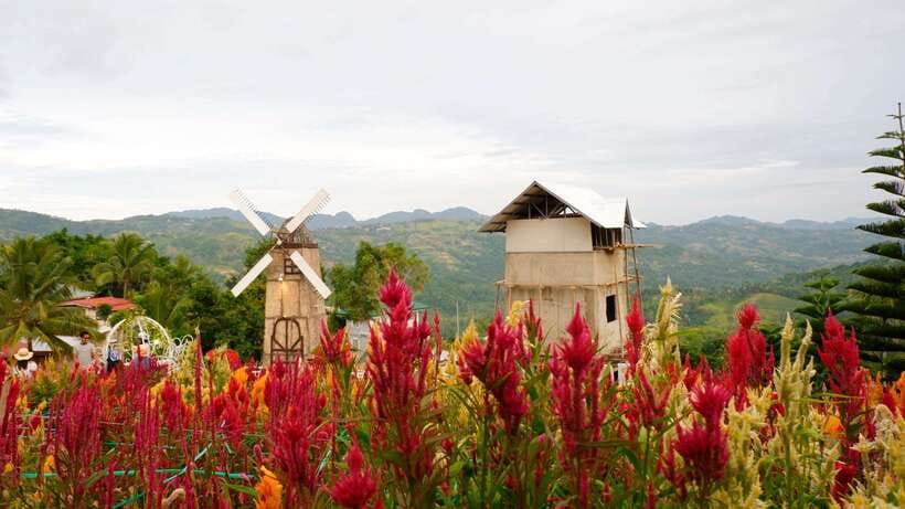 Cebu: Private Panoramic Tour with Dinner - Climbing from Cebu City into the Busay hills