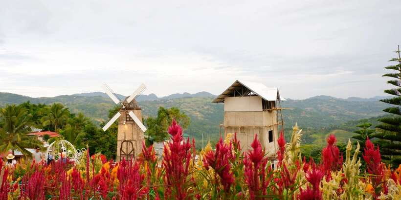Cebu: Private Panoramic Tour with Dinner - FAQ