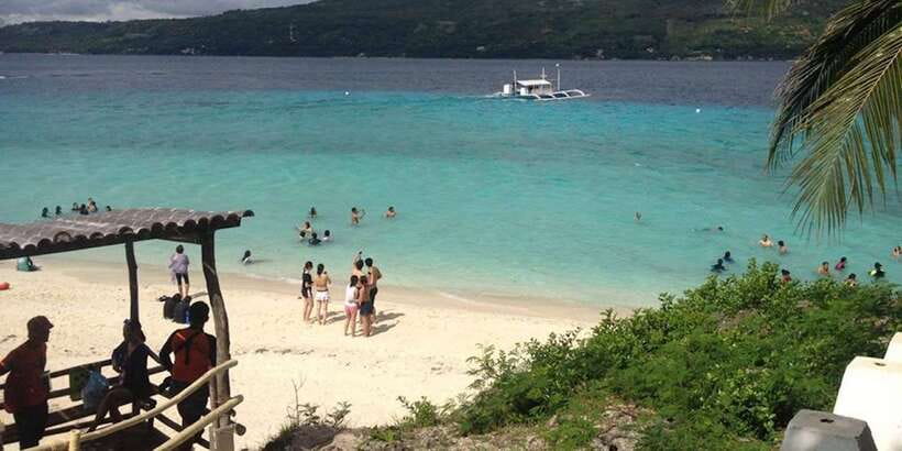 Cebu: Private Sumilon Island & Optional Whale Shark Swim - Comfort, swimming, and practical limits