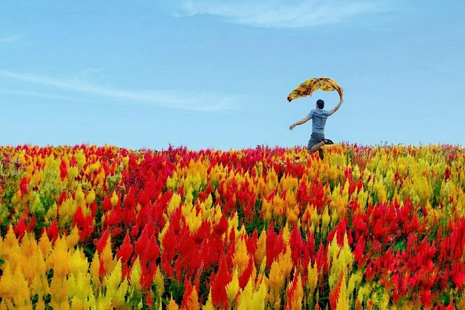 Cebu: Private Twin City Tour +Temple of Leah + Sirao Flower Farm - A private way to connect Cebu City and Mactan