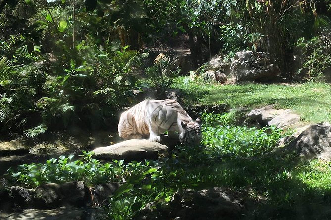 Cebu Safari and Adventure Park - A full day at Cebu Safari and Adventure Park