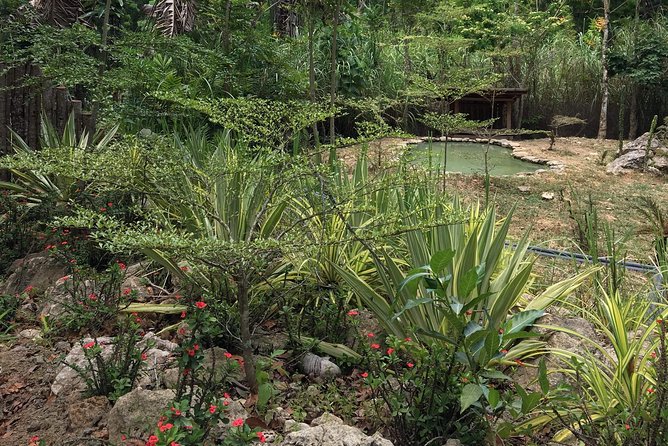 Cebu Safari and Adventure Park - The bird show and its limited performance times