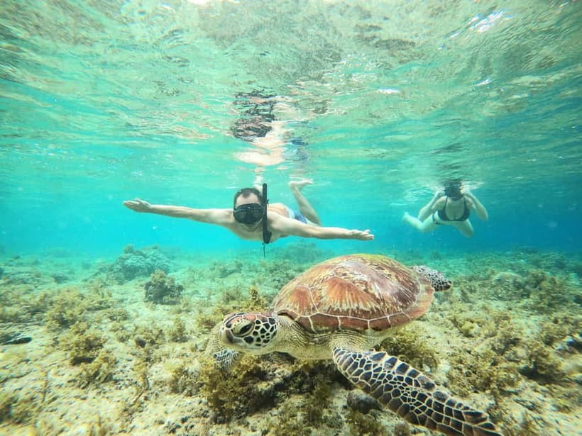 Cebu: Sardine Run Snorkeling, Mantayupan Falls & ATV Thrills - Key points to know before booking