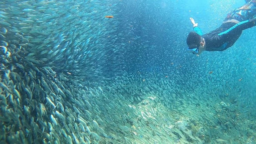 Cebu: Sardine Run Snorkeling, Mantayupan Falls & ATV Thrills - What the Barili ATV hour is really like