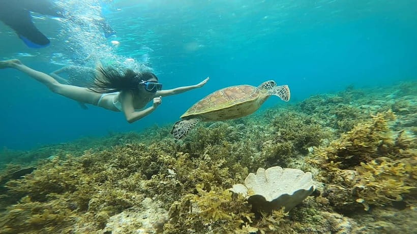 Cebu: Sardine Run Snorkeling, Mantayupan Falls & ATV Thrills - Private transport, wide pickup coverage, and guide service