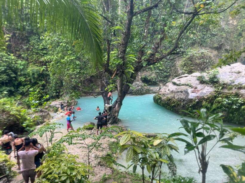Cebu: Whale Shark, Inambakan Falls & Moalboal Sardine Tour - Key points to know before booking