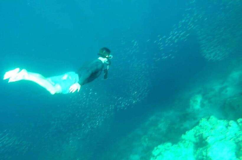 Cebu: Whale Shark, Inambakan Falls & Moalboal Sardine Tour - Moalboal’s sardine run and a chance to see turtles