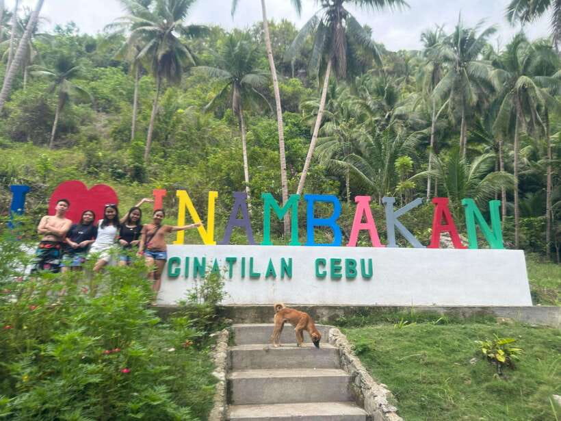 Cebu: Whale Shark, Inambakan Falls & Moalboal Sardine Tour - Oslob whale sharks and the early morning wait