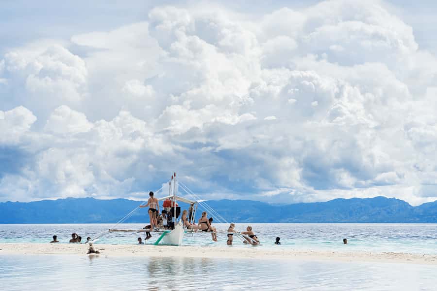 Cebu: Whale Shark, Monkey Sanctuary, & Moalboal Snorkel Tour - Feeding monkeys at the Oslob sanctuary