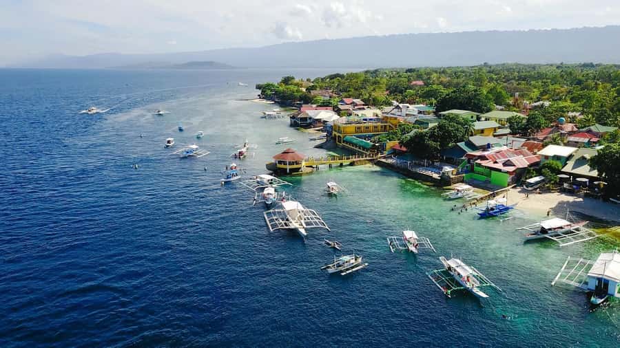 Cebu: Whale Shark, Monkey Sanctuary, & Moalboal Snorkel Tour - The long transfer across southern Cebu