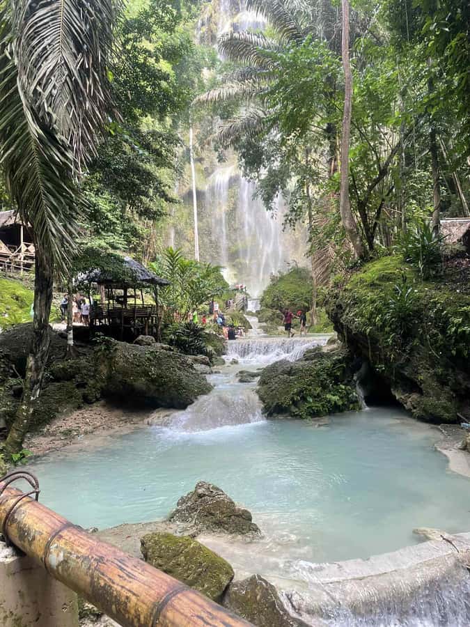 Cebu: Whale Shark, Monkey Sanctuary, & Moalboal Snorkel Tour - Food, coconut, and small local stops
