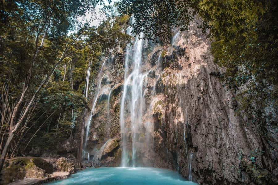 Cebu: Whale Shark, Monkey Sanctuary, & Moalboal Snorkel Tour - The 4 a.m. road to Oslob
