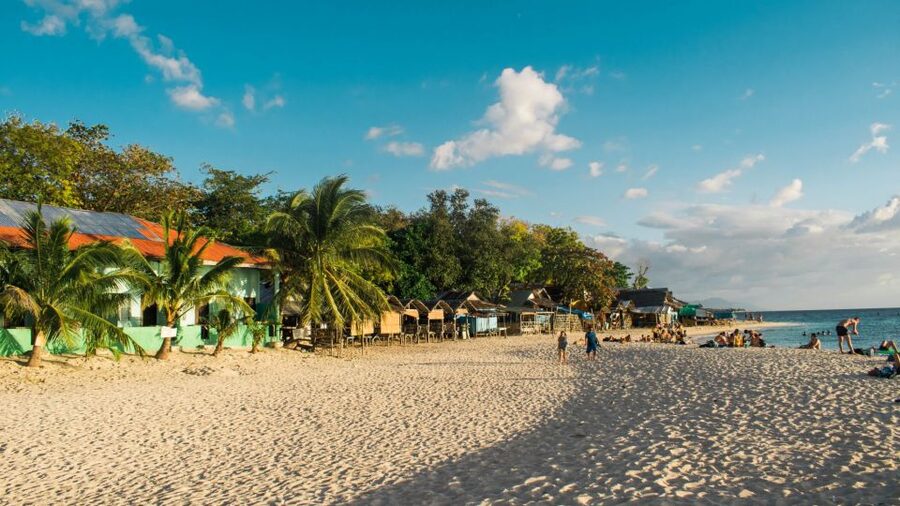 Cebu: Whale Shark, Monkey Sanctuary, & Moalboal Turtles Tour - A short stop at the Oslob Monkey Sanctuary