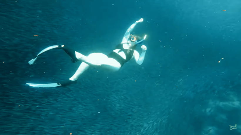 Cebu: Whale Shark Oslob and Moalboal Snorkeling Adventure - Small details that make the day better