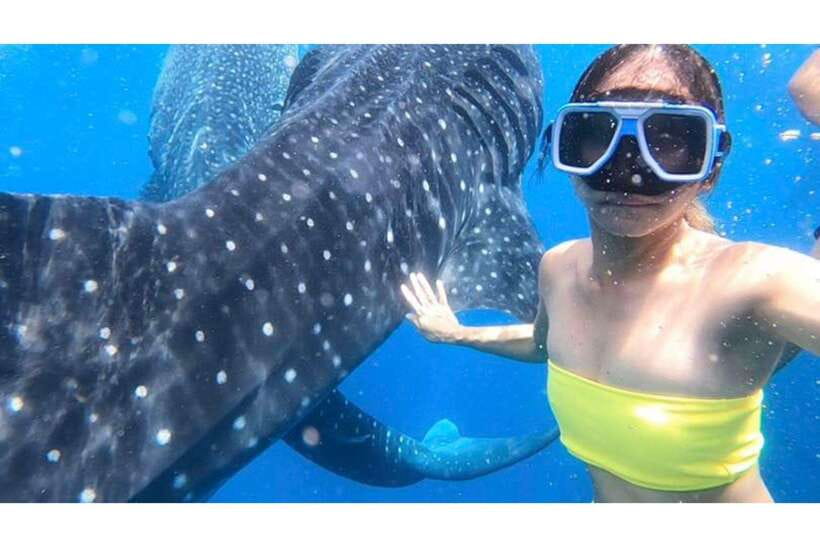 Cebu: Whale Shark Swim and Kawasan Canyoneering Group Tour - Why this Cebu pairing works so well
