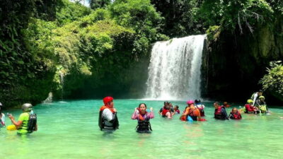 Whale Shark Swim and Kawasan Canyoneering Tour