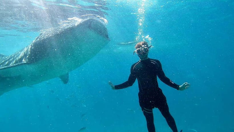 Cebu: Whale Shark Swim and Kawasan Canyoneering Tour - Kawasan Falls and the included lunch
