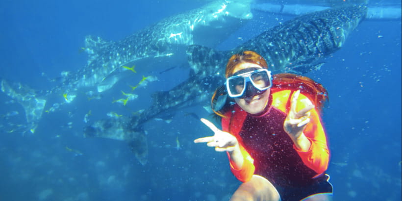Cebu: Whale Shark Swimming, Sumilon Island and Kawasan Falls - The real cost is energy, not just money