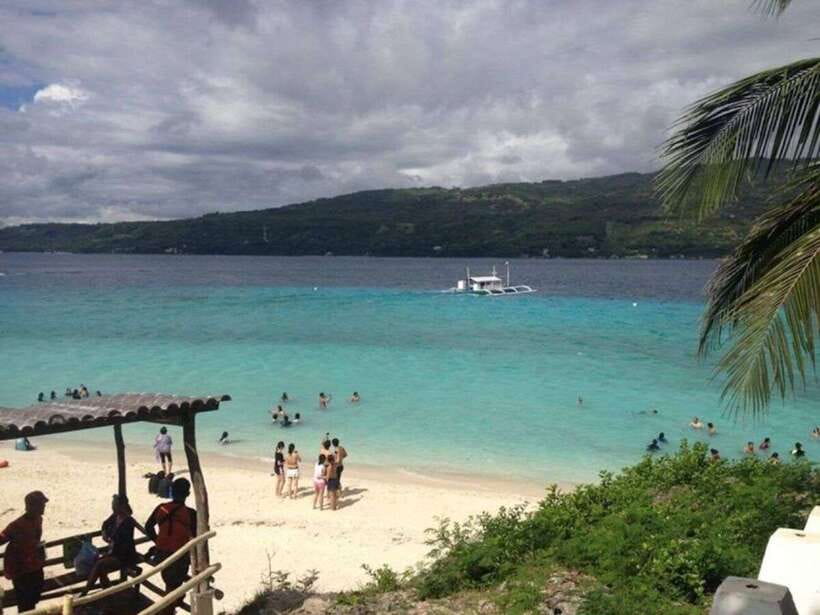 Cebu: Whale Shark Swimming, Sumilon Island and Kawasan Falls - Oslob whale sharks: powerful, close, and controversial