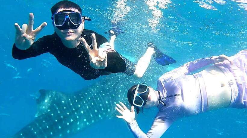 Cebu: Whale Shark, Tumalog Waterfall, and Moalboal Tour - Why the whale sharks set the tone